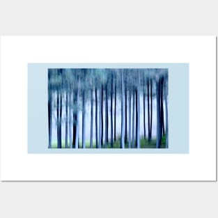 Tall Trees Posters and Art